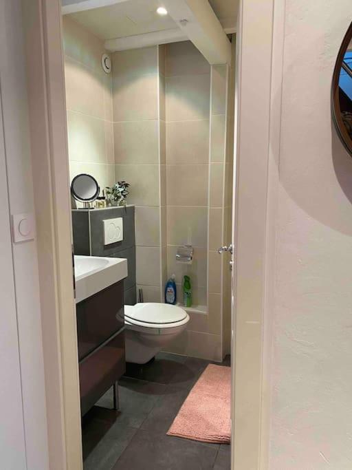 Charmant Duplex Privatise, Climatise, 2 Chambres Strasbourg Extérieur photo