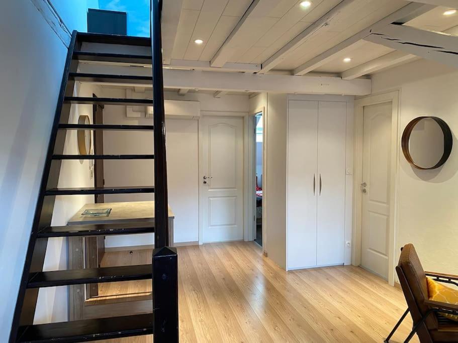 Charmant Duplex Privatise, Climatise, 2 Chambres Strasbourg Extérieur photo