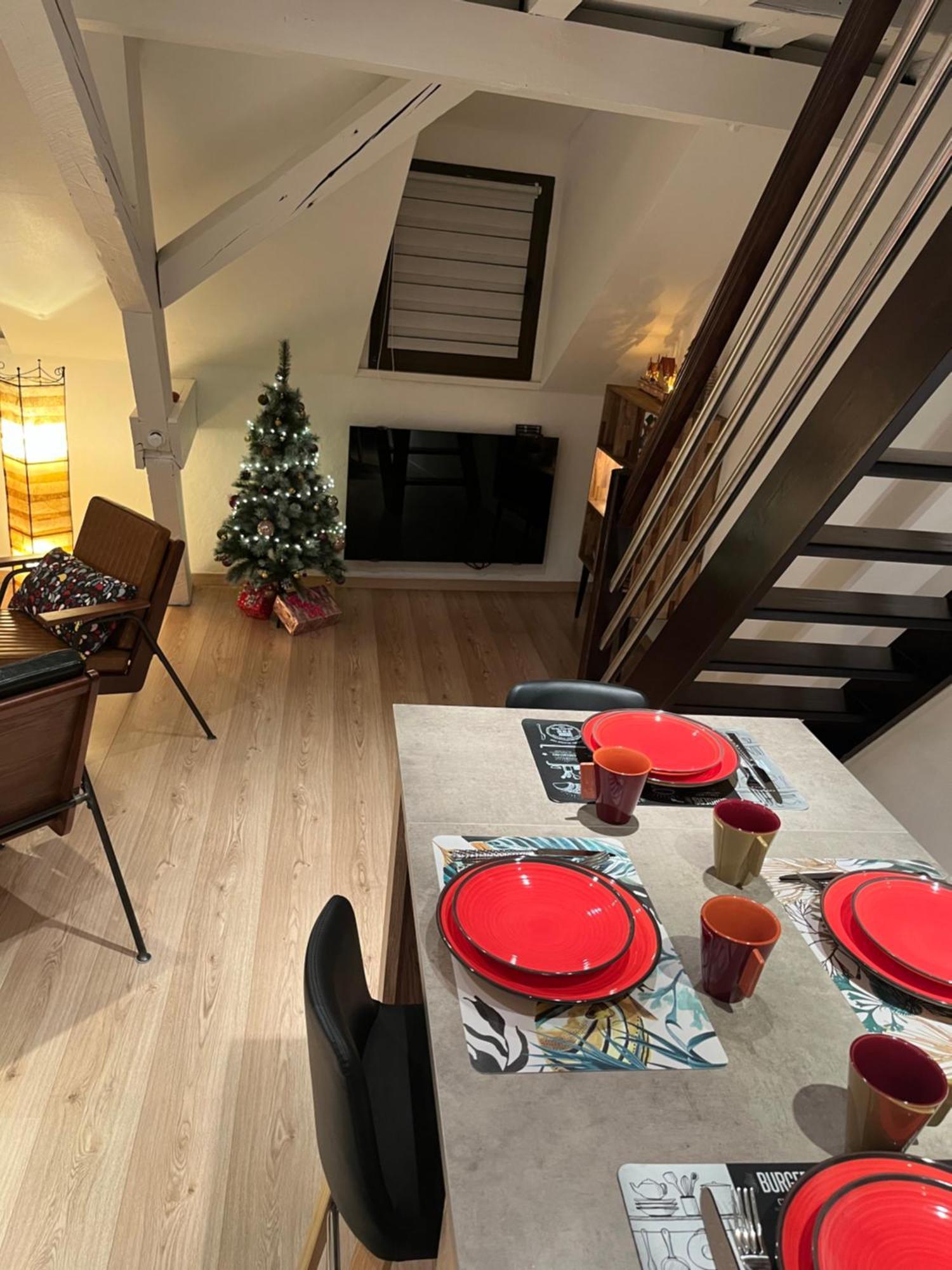 Charmant Duplex Privatise, Climatise, 2 Chambres Strasbourg Extérieur photo