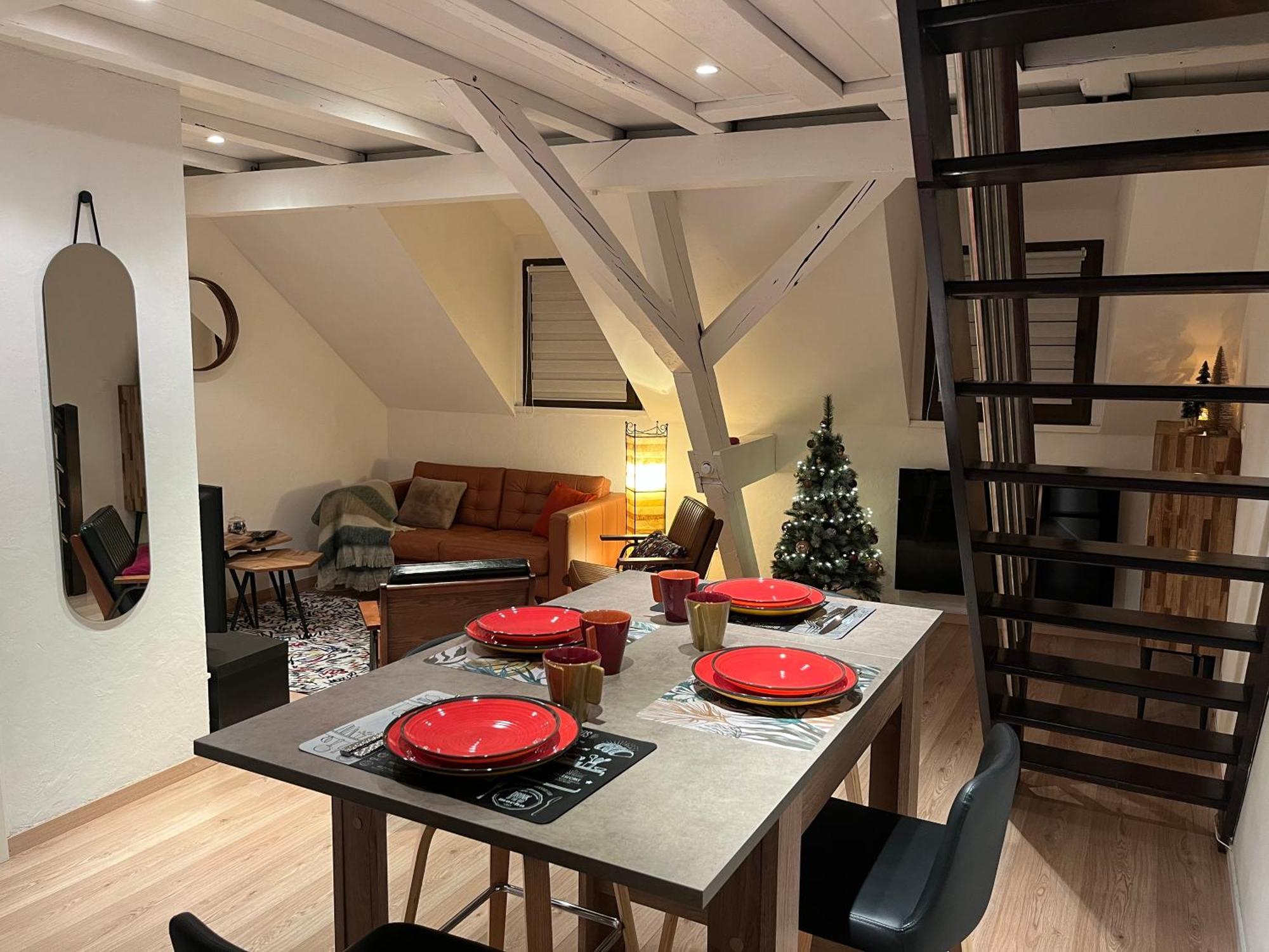 Charmant Duplex Privatise, Climatise, 2 Chambres Strasbourg Extérieur photo