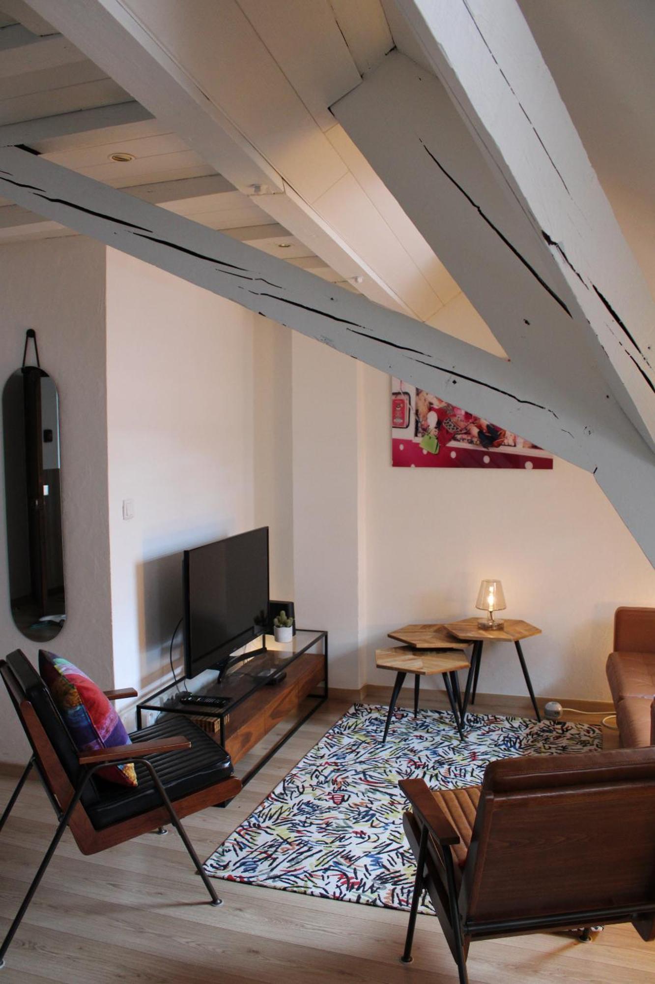 Charmant Duplex Privatise, Climatise, 2 Chambres Strasbourg Extérieur photo